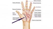 Значение линии жизни на руке: характеристика человека, знаки