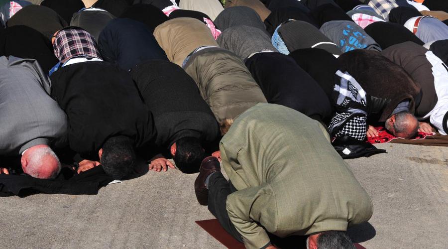 Как называется когда мусульмане молятся на ковре. Молитвенный коврик. Михраб укажет верный путь