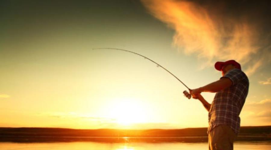 Наблюдать за рыбалкой во сне. К чему снится ловить рыбу, видеть во сне ловлю рыбы - значение сна для женщины и мужчины. Сон, в котором ловишь рыбу — большой успех, выигрыш, удача в начинаниях