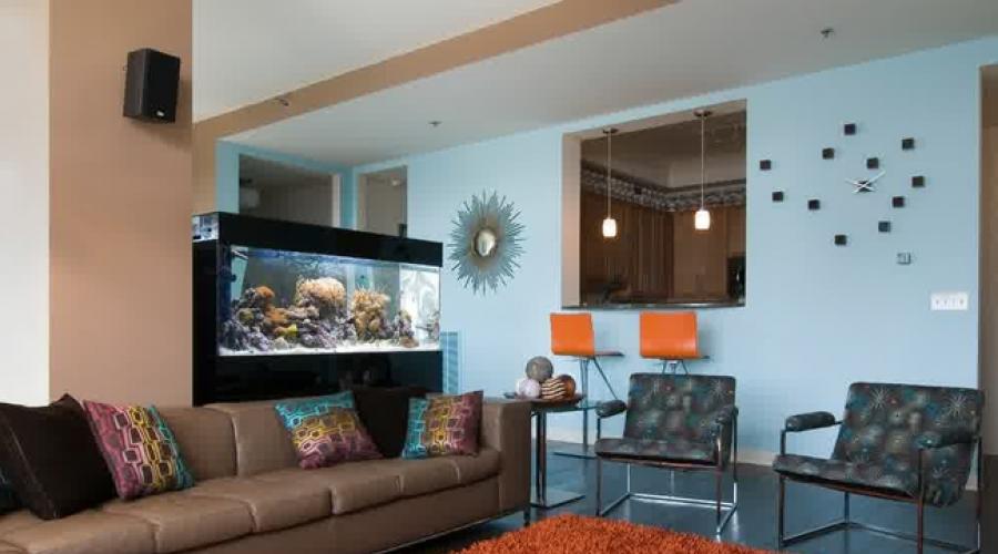 Где установить аквариум в квартире. Уход за талисманом и его жителями. Какая форма аквариума лучшая для фэн-шуй