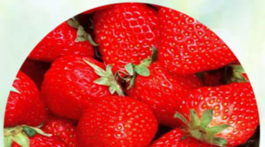 К чему снятся ягоды: спелые, вкусные, чёрные, неизвестные? Основные толкования разных сонников — к чему снятся ягоды? К чему снятся Красные Ягоды