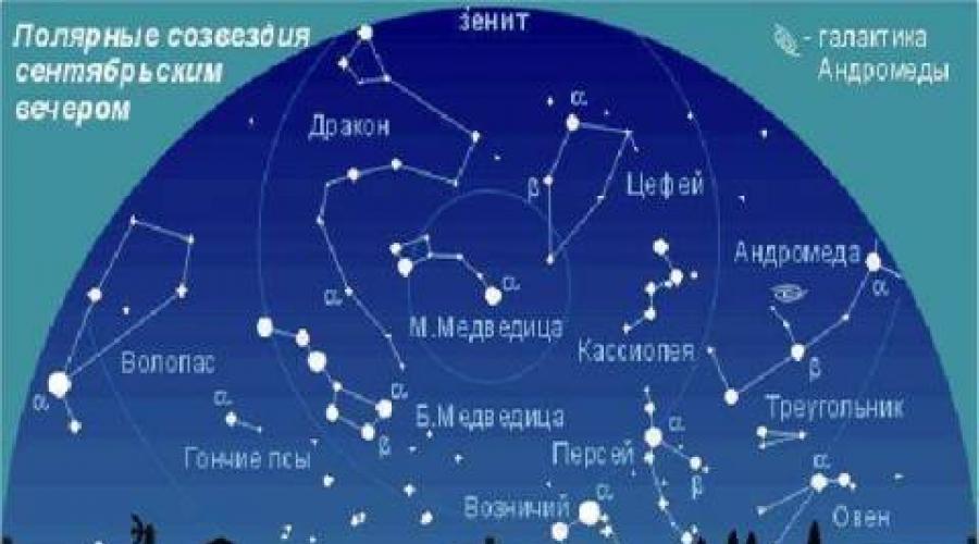 Как в астрономии появились красивые названия звезд и созвездий. Названия созвездий, звезд и планет