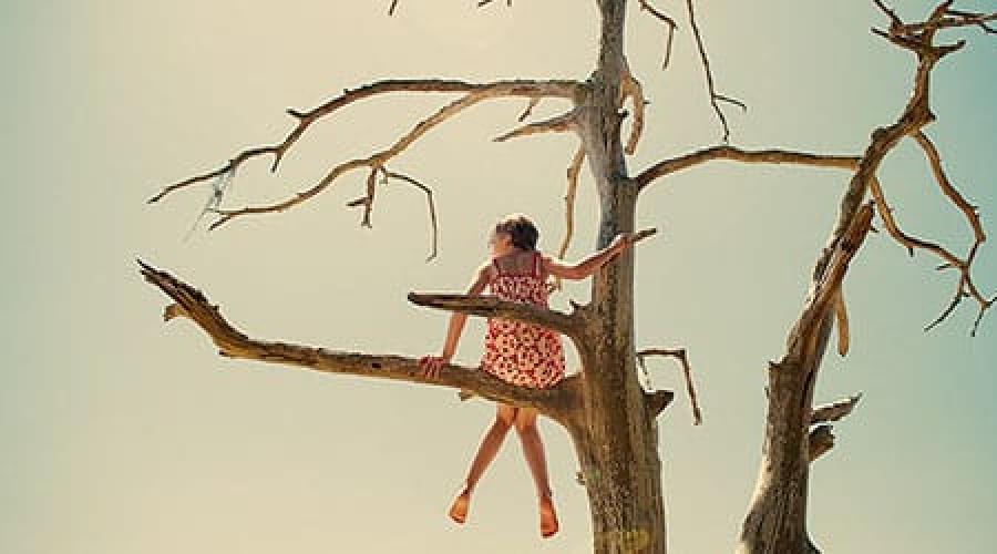 Деревья во сне к чему снится женщине. Женщина лезет на дерево. Голое дерево. Человек на ветке дерева. Тётка на дереве.