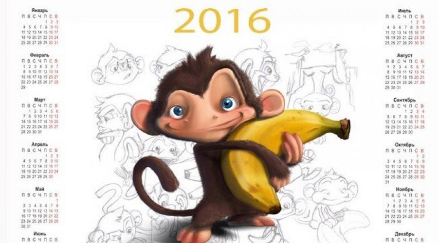 Год обезьяны календари. Мультяшные животные. Обезьянка рисунок. Год обезьяны 2016. Мультяшные картинки.