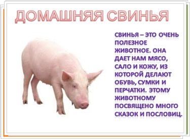 Урок во 2 классе на тему: "Дикие и домашние животные"